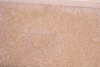 Nature's Miracle Brand Disinfectant Stain/Odor Remover 64 oz BRAND NEW