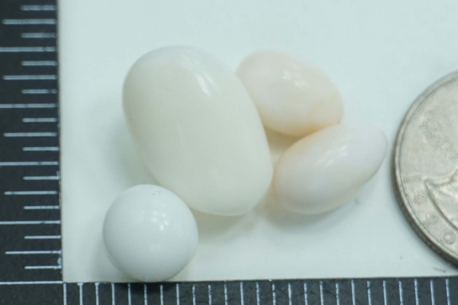 天然クラムパール／トリダクナパール（約1.9ct） Tridacna pearl(トリダクナパール)(シャコ真珠)(0.91ct)｜真珠