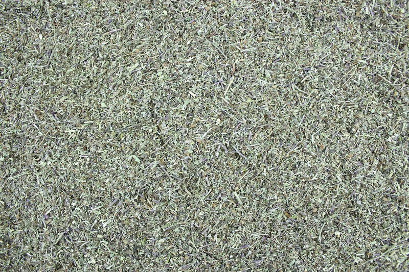 1000krÃ¤Uter Gamander Edelgamander Gamandertee Geschnitten 100 G