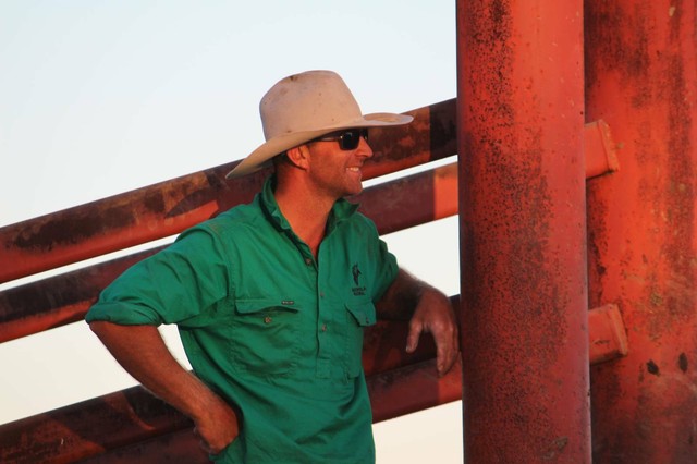 Cattle Station - Junior Farm Hand | Farm Management ...