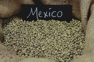 Up To 100 lbs Mexican Chiapas H/G E/P Organic Fresh Crop Green Coffee Beans