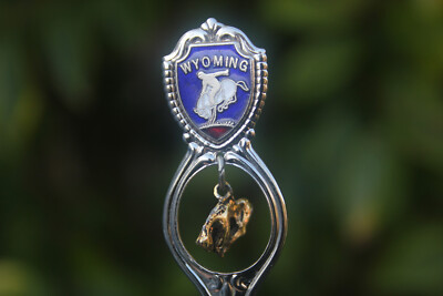 Vintage Spoon Wyoming USA American Souvenir Gift Americana America Cowboy