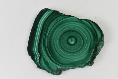 Malachite Stalactite Slice from Congo 8.4 cm   # 18920