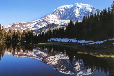 Mount Rainier National Park, Washington --POSTCARD