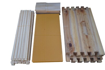 Bee Hive Langstroth Deep Beehive Kit, 10 Frames +10 foundation +  1 deep box