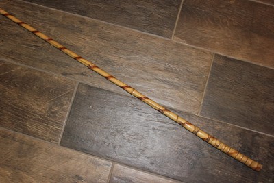 primitive fishing rod