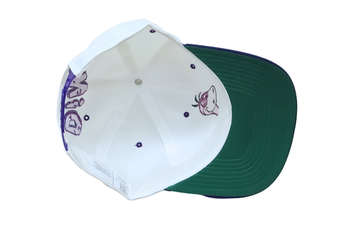 VINTAGE Dino Hat Cap Snap Back White Purple Flintstones Cartoon Collectors