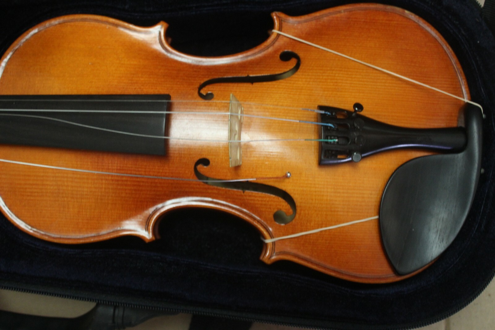 VIOLIN MADE BY STRINGS & THINGS