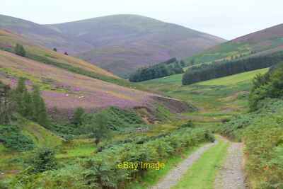Photo 6x4 Glen Sax and Dun Rig Bonnington Bracken and heather to the fore c2020