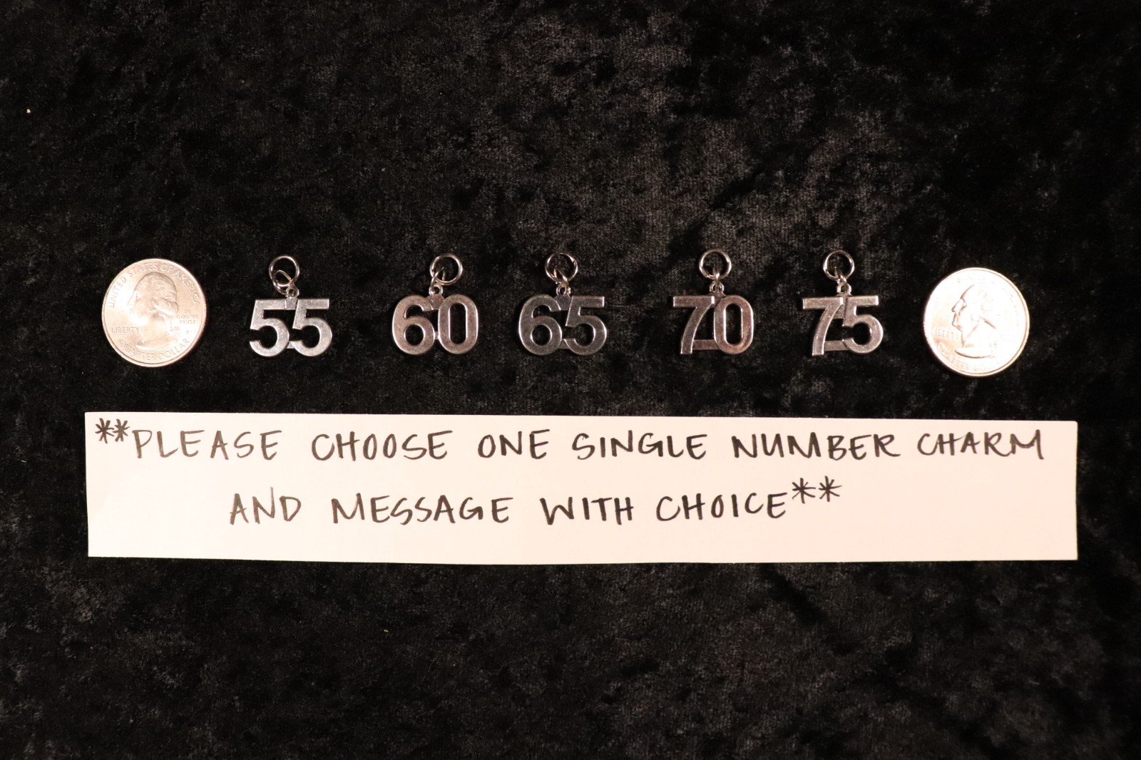 Flaunt Your Success - One Single LRG Number Charm for Weight Watchers Key Ring!