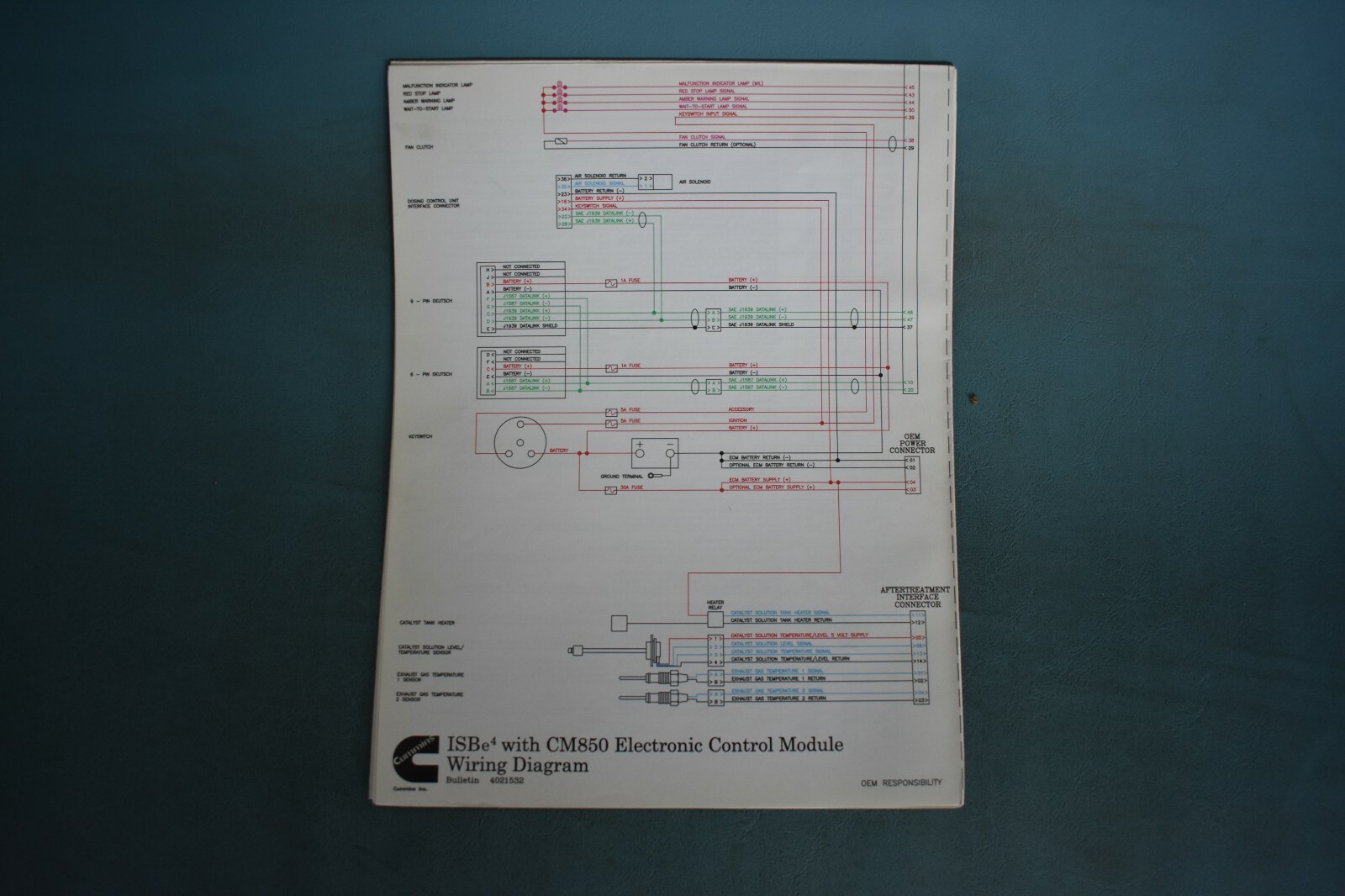 Y.Cameronページ $_57.JPG?set_id=8800005007