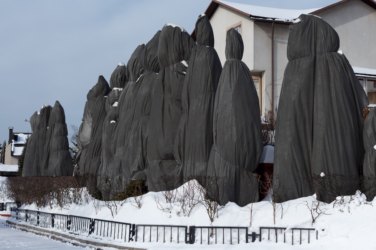 Sandbaggy Frost Cloth Rolls - Plant Blanket for Shrubs, Trees, Gardens - 4 oz.