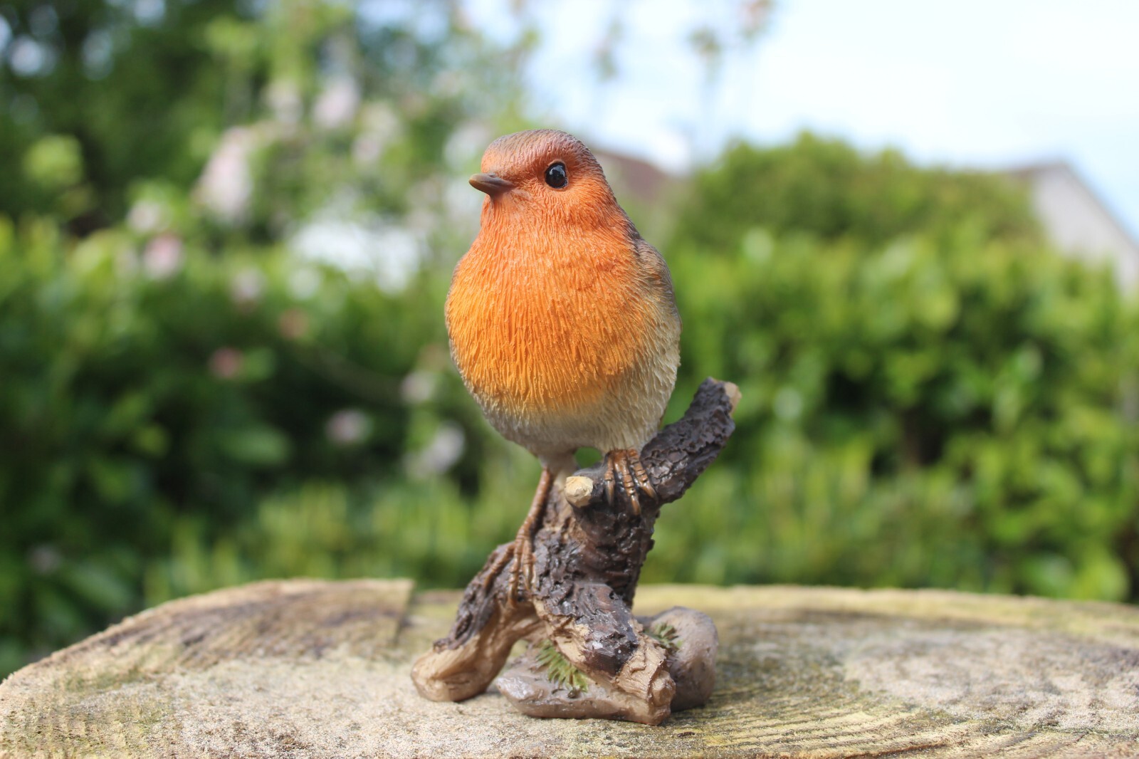 Vivid Arts Robin Indoor Outdoor Garden Ornament Gift H 13cm