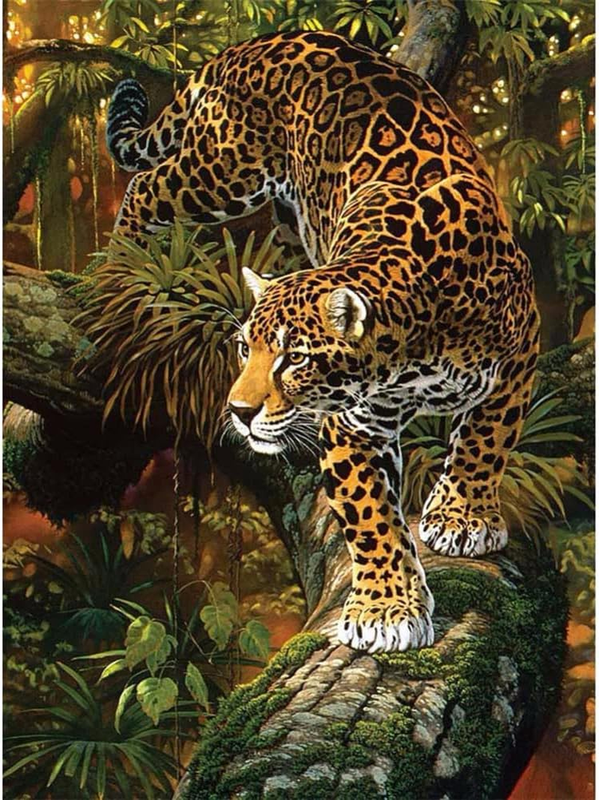 Meecaa Paint by Numbers Leopard Jungle Tree Animal Kit for Adults Beginner DIY O