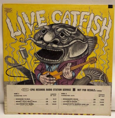 Catfish Hodge - Live Catfish US Epic LP VG+ Vinyl Radio Station Copy