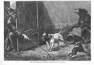 The Bone Thief - Central Park-The Dangers That Threaten It - 1879 Antique Prints