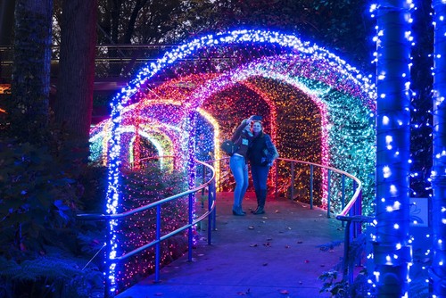 Atlanta Botanical Garden Tickets- Garden Lights Holiday Nights Exhibit
