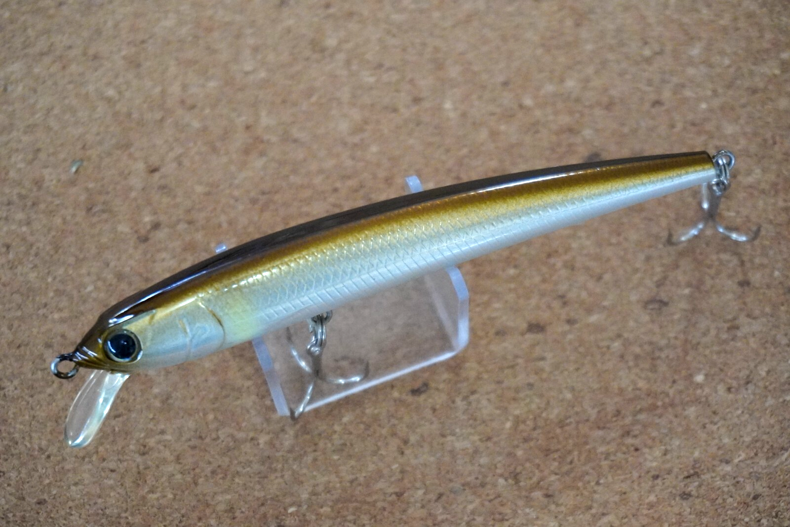 エバーグリーン　INSPIRE エバーグリーン インスパイア アマゾン (EVERGREEN INSPIRE