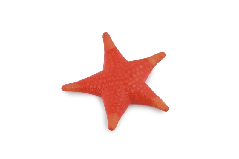 Starfish Toy, Orange Sea Star, Plastic Model, Realistic Figure 2