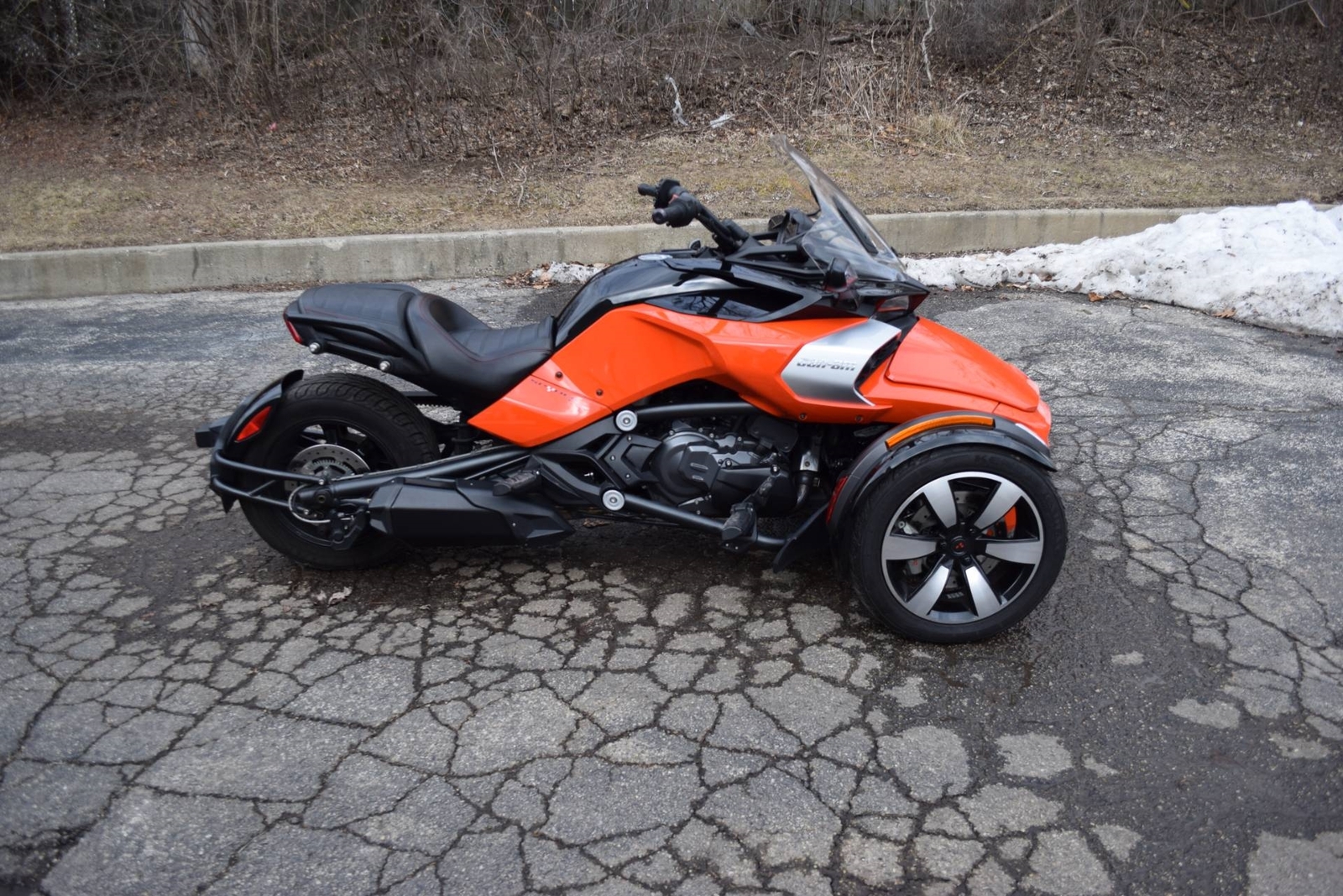 can am fs3