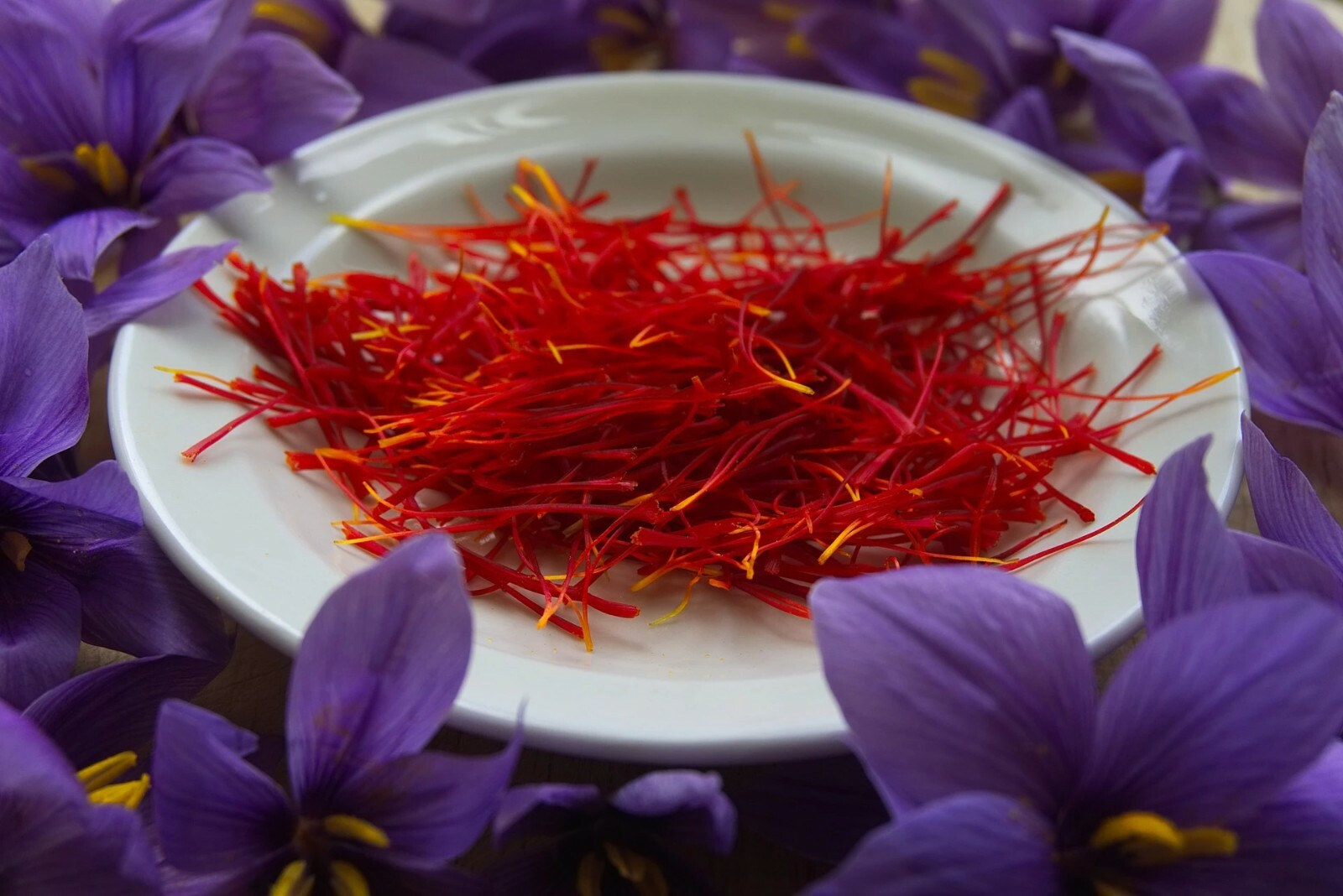 大人気新品をすべて Afghanistan - Zaffron - Saffron - 2 - Spice Quality Highest ブースター・導入液
