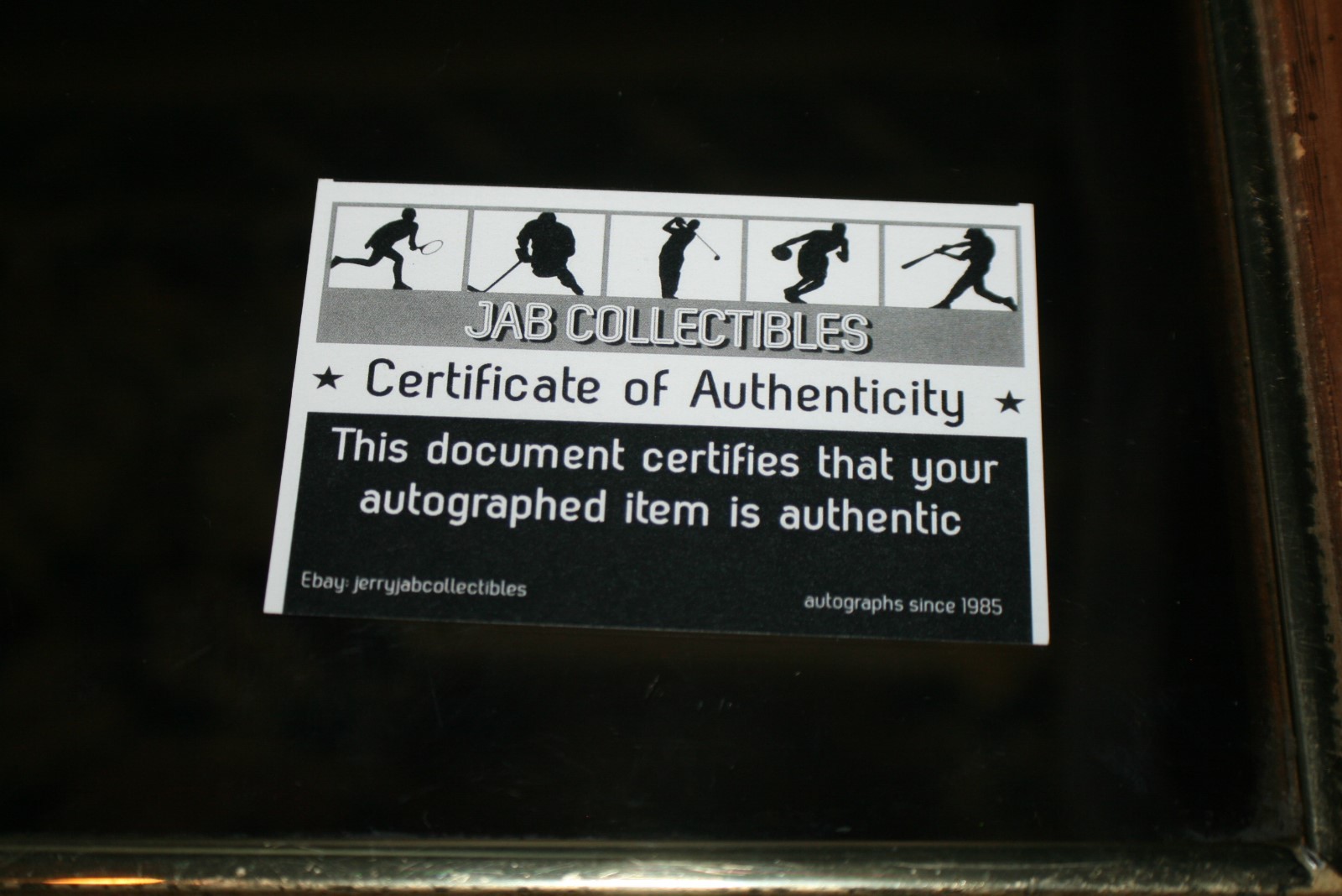 Mitch Moreland Autographed 2010 World Series Ball  w/qube