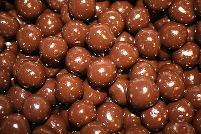 DARK CHOCOLATE HAZELNUTS, 2LBS
