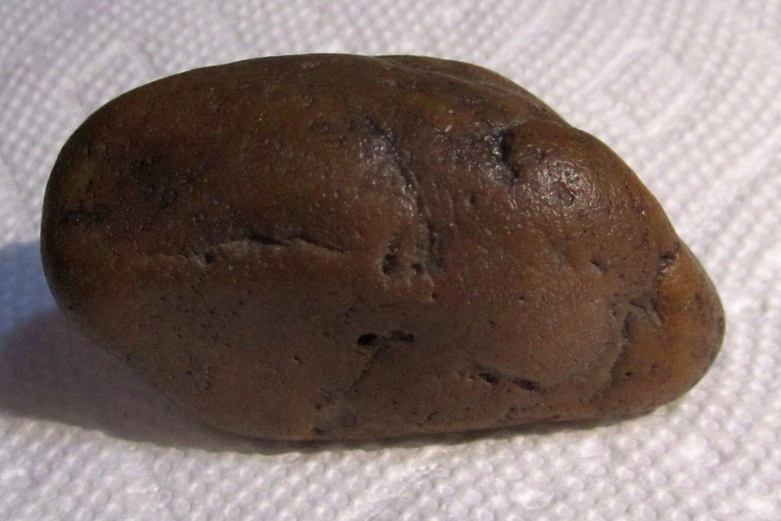 re.golith  Utah Dinosaur gastrolith (stomach stone or gizzard stone
