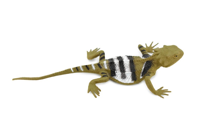 Lizard, Desert Short-Horned Lizard, Horned Toad, Realistic, Model, 5" F6108
