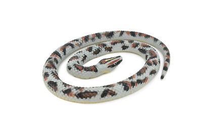 Snake, Rock Python, Coiled, Rubber Reptile, Realistic Model