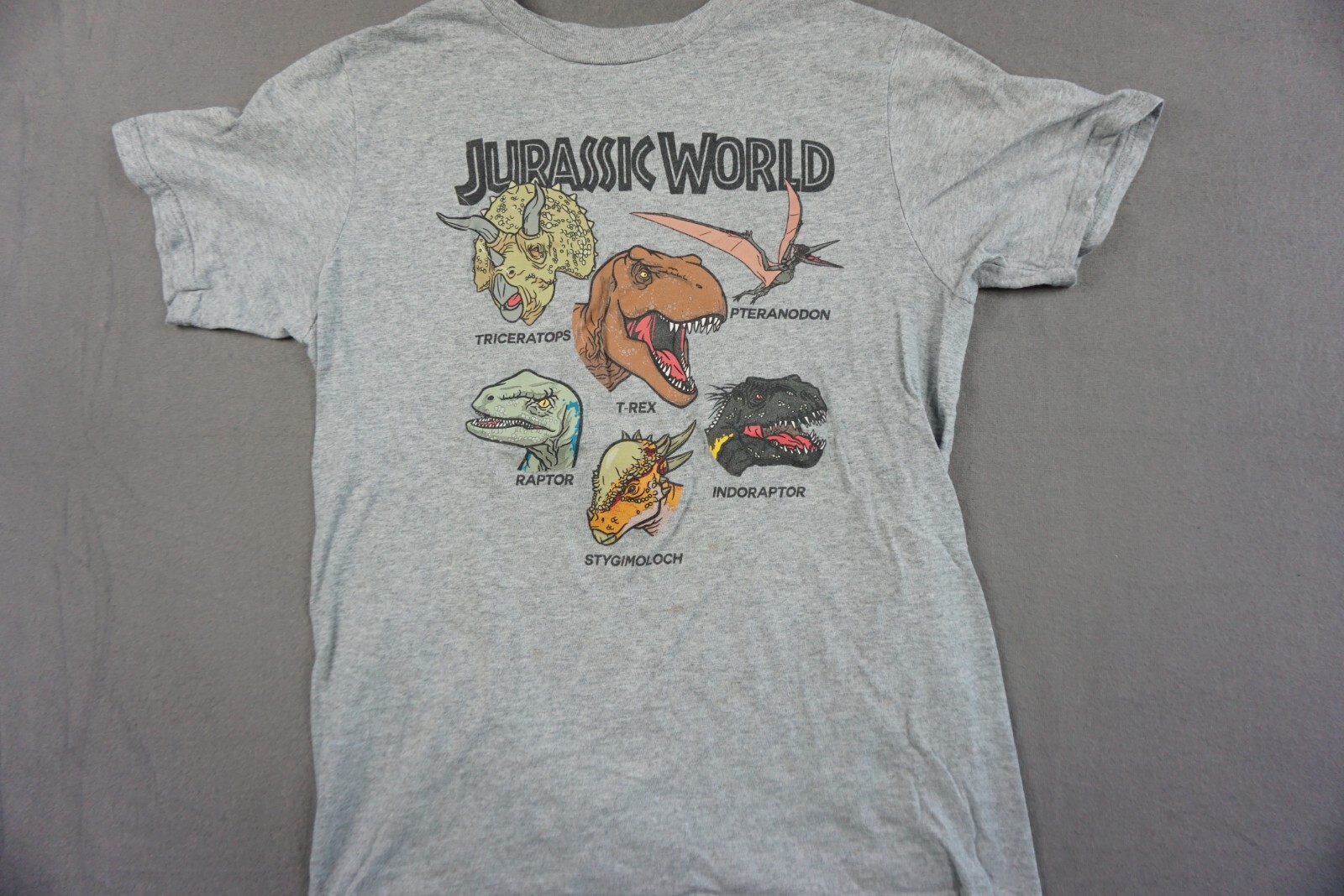 Amazon.co.jp: XLサイズ DINOSAUR Jr. ダイナソージュニア