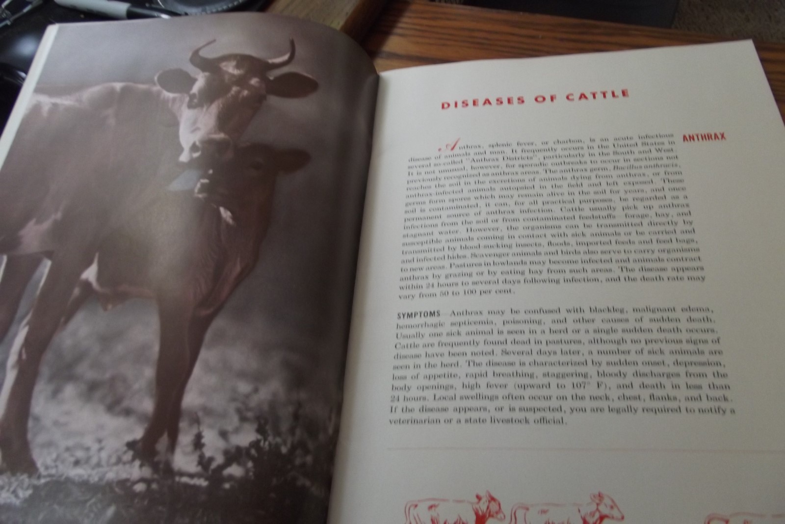 Common Diseases of Livestock Lederle Laboratories 1947