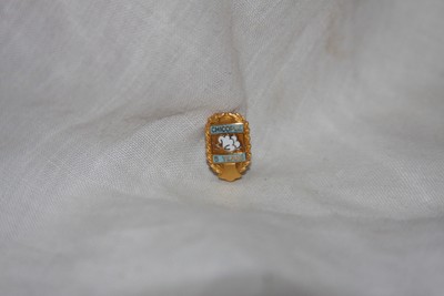 10K Yellow Gold Enamled Chicopee High School 5 Year Teacher Service Award Pin