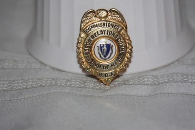 VTG Labor Relations Commissioner HCA Comm. Of Mass Gold Metal Auxilary Badge Pin