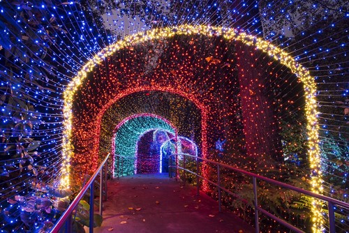 Atlanta Botanical Garden Tickets- Garden Lights Holiday Nights Exhibit