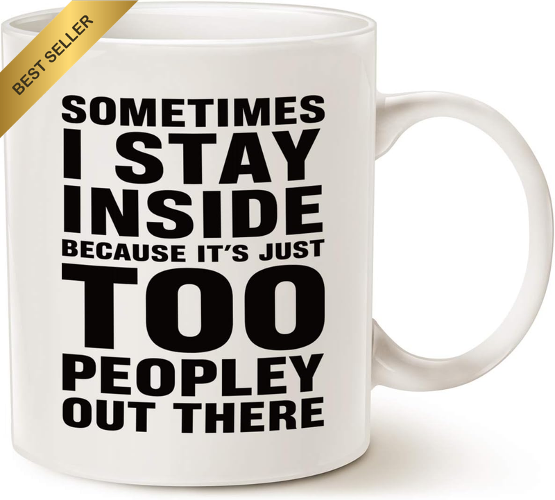 Funny Coffee Mug 11 Oz Sometimes I Stay Inside Too Peopley Gift