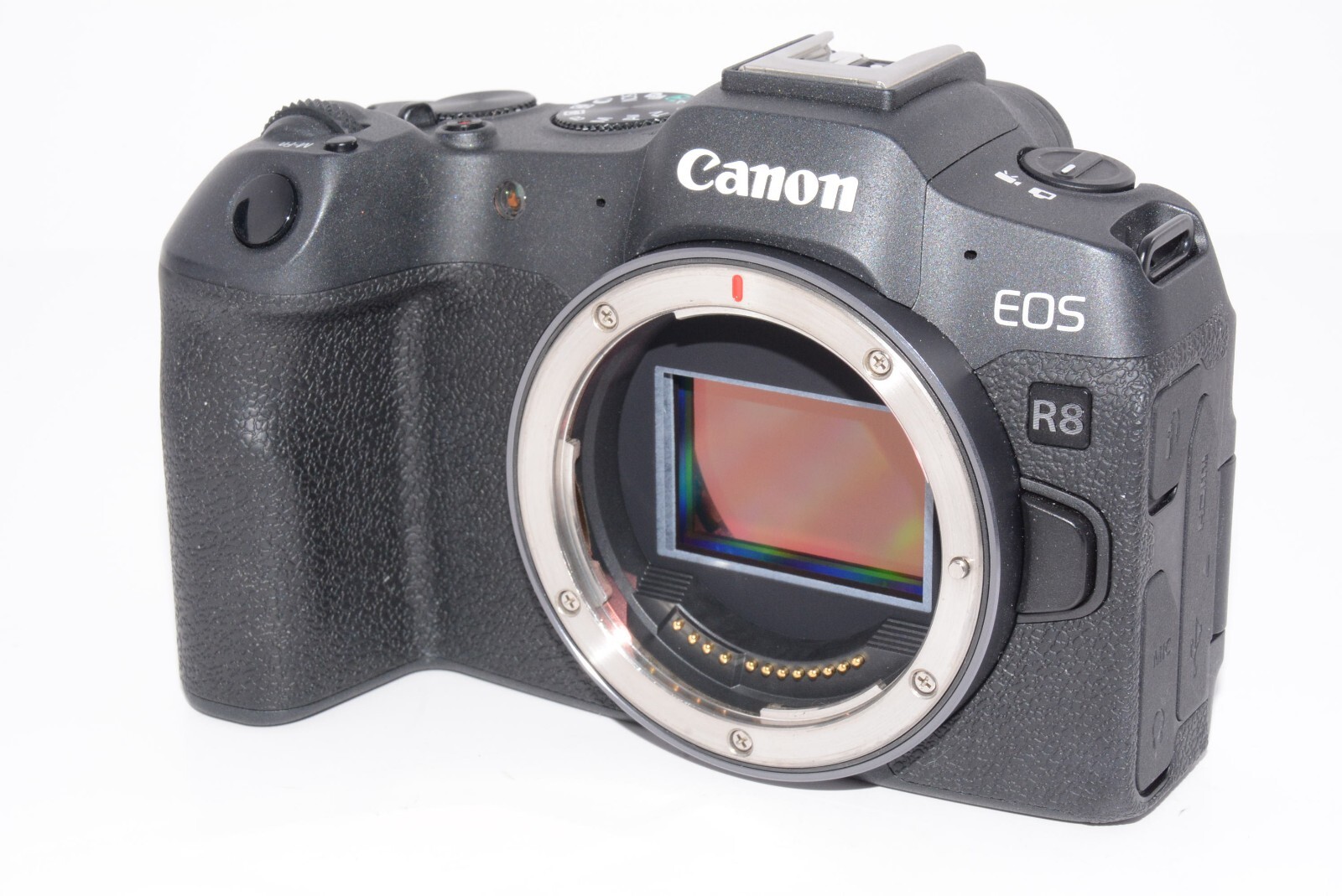 N.MINT] Canon EOS R8 Mirrorless Camera Body From JAPAN
