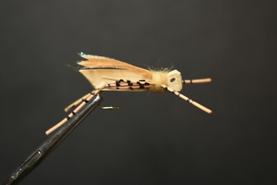 HOPPER PATTERN DAVES TAN DRY FLY FISHING TERRESTRIAL FLIES SIZE #6 X 5 FLIES