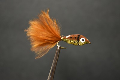 2 Flies, Size 12,  BROWNIE Epoxy Minnow Fly Fishing