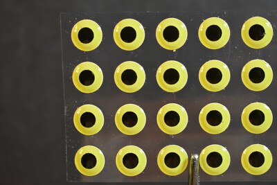 24  FLUORESCENT YELLOW  3D Soft Molded 5/16''  8mm  Eyes Fly Tying Lures