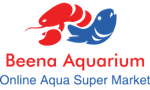 beenaaquarium