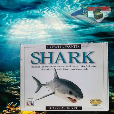 Eyewitness Kits Shark Casting Kit Educational Craft for Children Sealed NIB