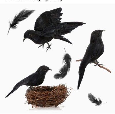 Set of 3 Halloween Black Crows with Handmade Lifelike Feathers and Bird's Nest