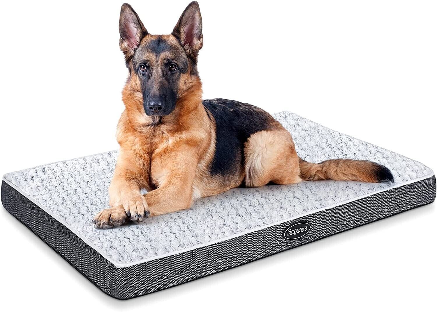 Memory Foam Dog Bed