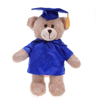 Plushland Short Pile Bear Stuffed Animal Customized Toys Gifts for Graduation