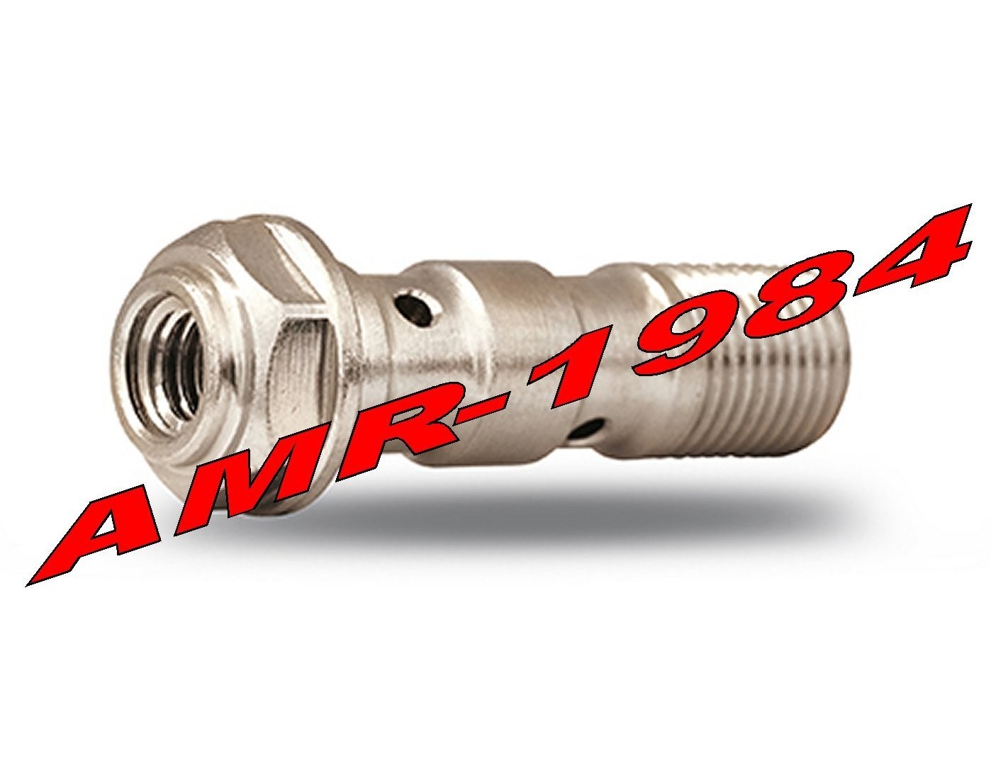 VITE ACCIAIO  BREMBO  con attacco spurgo attacco per 2 TUBI passo 10 x 1