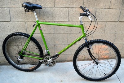 diamondback ascent ex 1988