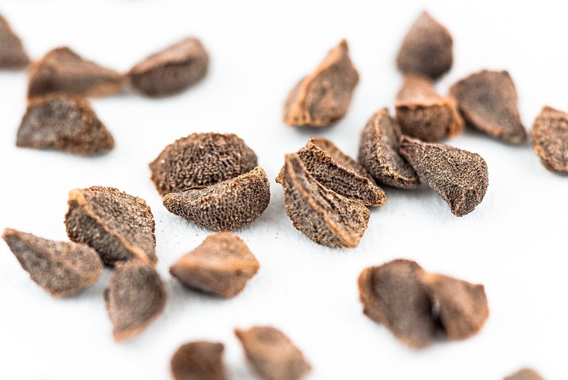 Steppenraute Kapseln - Harmalkraut