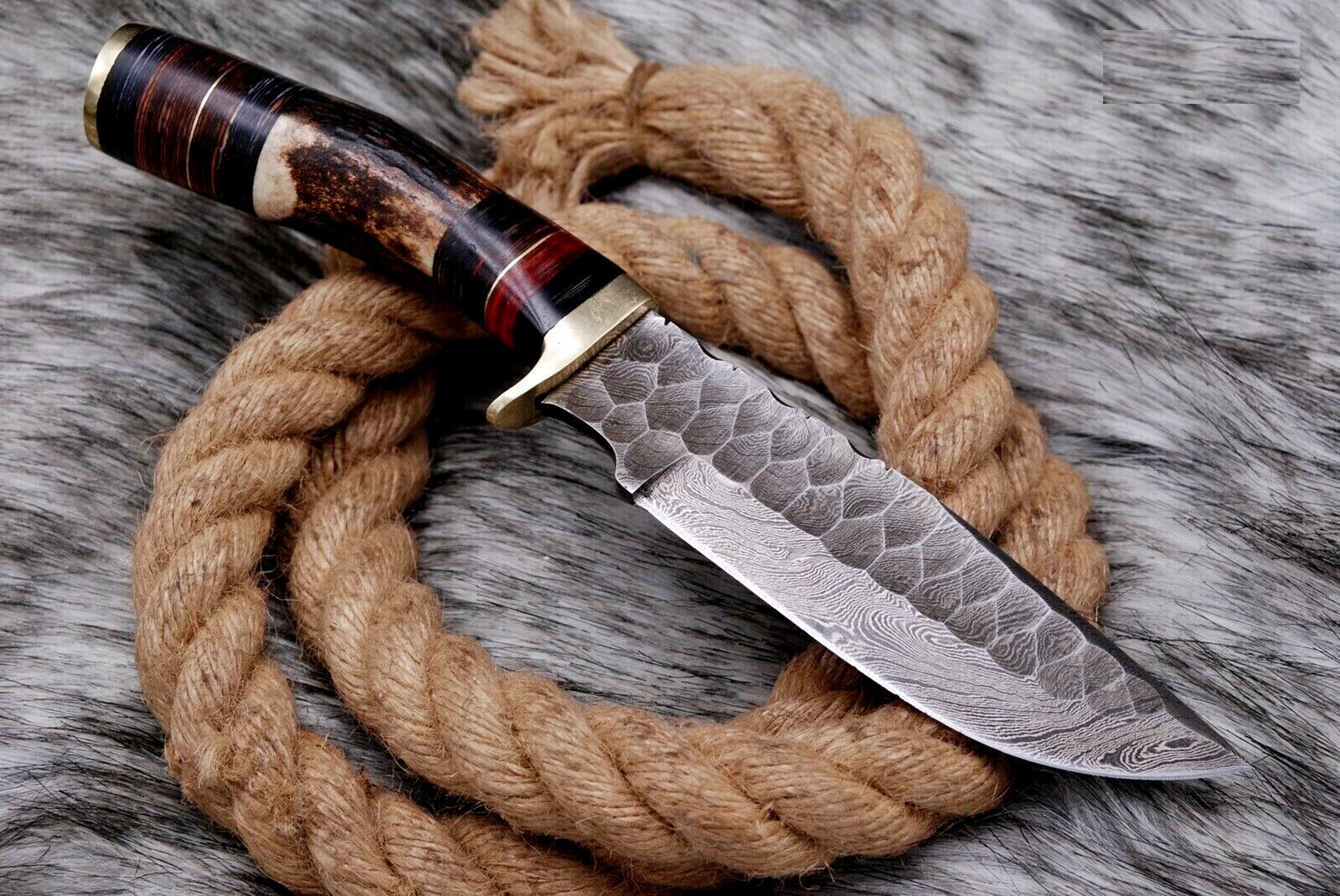 CUSTOM HANDMADE DAMASCUS STEEL HUNTING SKINNING KNIFE DEER STAG HANDLE SURVIVAL