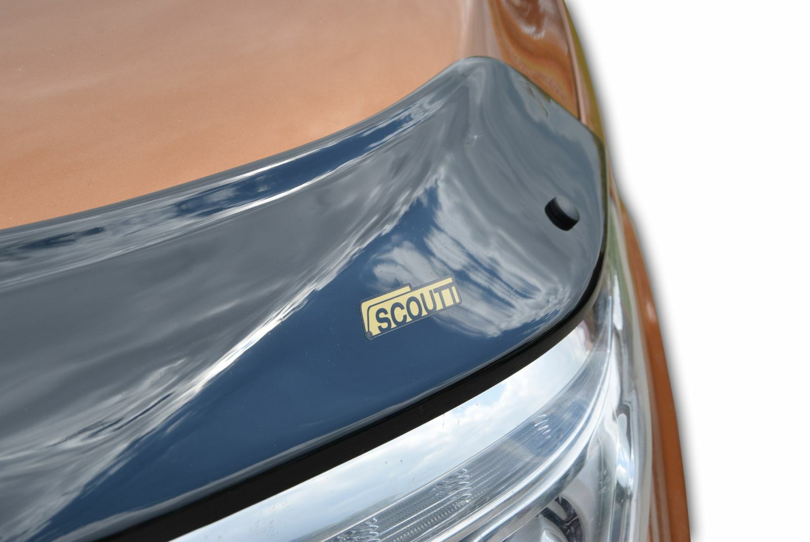 Vehicle Bug Shields Rochester NY